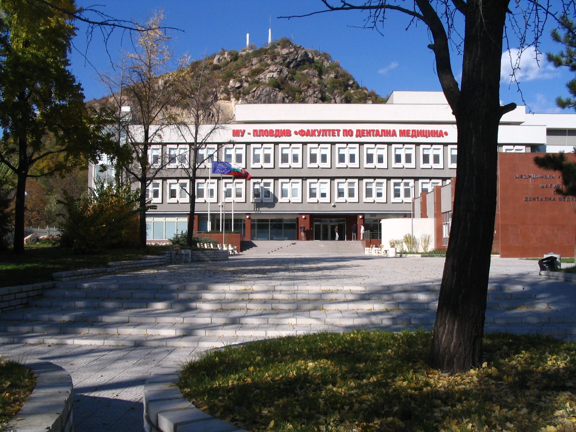 Факултет по Дентална медицина, МУ Пловдив